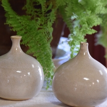 Small Bottles/BudVases