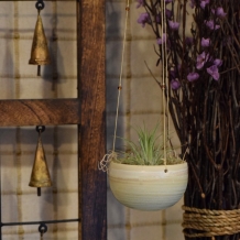 Hanging Planter